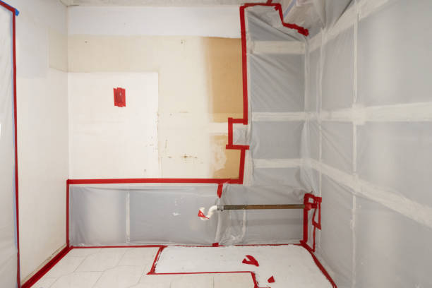 Best Commercial Mold Inspection  in Ionia, MI
