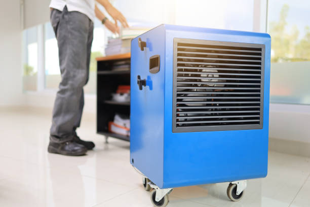 Best Basement Mold Removal  in Ionia, MI