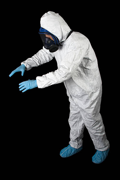 Best Mold-Related Health Consultation  in Ionia, MI