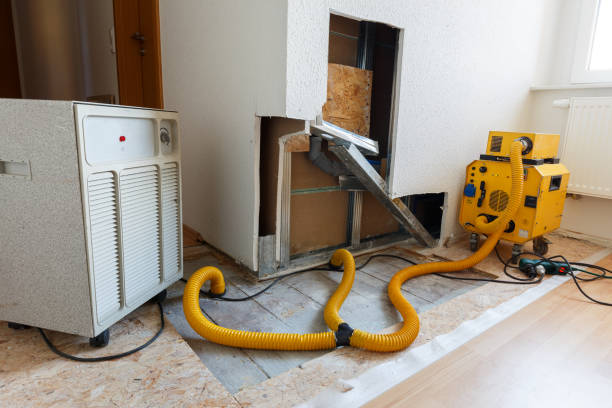Best Real Estate Mold Inspection  in Ionia, MI