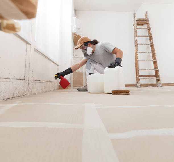 Best Industrial Mold Remediation  in Ionia, MI